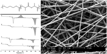 Graphical abstract: Electrospinning and mechanical properties of P(TMC-co-LLA) elastomers