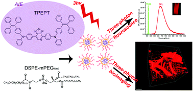 Graphical abstract: Biocompatible aggregation-induced emission nanoparticles with red emission for in vivo three-photon brain vascular imaging