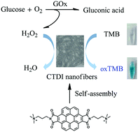 Graphical abstract: Peroxidase activity of the coronene bisimide supramolecular architecture and its applications in colorimetric sensing of H2O2 and glucose