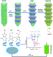 Graphical abstract: Dendritic unzipped carbon nanofibers enable uniform loading of surfactant-free Pd nanoparticles for the electroanalysis of small biomolecules