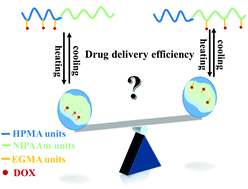 Graphical abstract: A comparison study to investigate the effect of the drug-loading site on its delivery efficacy using double hydrophilic block copolymer-based prodrugs