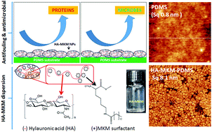 Graphical abstract: Protein-repellent and antimicrobial nanoparticle coatings from hyaluronic acid and a lysine-derived biocompatible surfactant