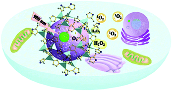 Graphical abstract: A core–shell metal–organic-framework (MOF)-based smart nanocomposite for efficient NIR/H2O2-responsive photodynamic therapy against hypoxic tumor cells