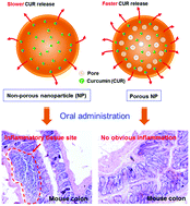 Graphical abstract: Oral delivery of curcumin via porous polymeric nanoparticles for effective ulcerative colitis therapy