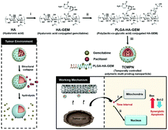 Graphical abstract: Stent containing CD44-targeting polymeric prodrug nanoparticles that release paclitaxel and gemcitabine in a time interval-controlled manner for synergistic human biliary cancer therapy