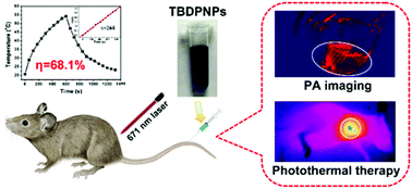 Graphical abstract: Polymer nanoparticles with high photothermal conversion efficiency as robust photoacoustic and thermal theranostics