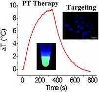 Graphical abstract: Maghemite nanoparticles coated with human serum albumin: combining targeting by the iron-acquisition pathway and potential in photothermal therapies