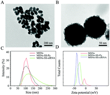 Graphical abstract: A redox-responsive strategy using mesoporous silica nanoparticles for co-delivery of siRNA and doxorubicin