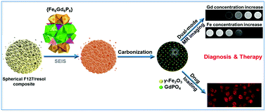 Graphical abstract: Preparation of highly dispersed γ-Fe2O3 and GdPO4 co-functionalized mesoporous carbon spheres for dual-mode MR imaging and anti-cancer drug carrying
