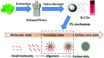 Graphical abstract: In situ synthesis of NIR-light emitting carbon dots derived from spinach for bio-imaging applications