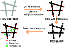 Graphical abstract: A surface molecularly imprinted electrospun polyethersulfone (PES) fiber mat for selective removal of bilirubin