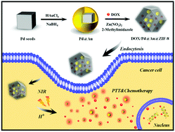 Graphical abstract: A metal–organic framework based nanocomposite with co-encapsulation of Pd@Au nanoparticles and doxorubicin for pH- and NIR-triggered synergistic chemo-photothermal treatment of cancer cells