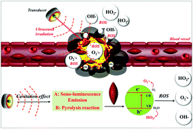 Graphical abstract: Site-specific sonocatalytic tumor suppression by chemically engineered single-crystalline mesoporous titanium dioxide sonosensitizers