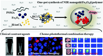 Graphical abstract: Encapsulation of Au/Fe3O4 nanoparticles into a polymer nanoarchitecture with combined near infrared-triggered chemo-photothermal therapy based on intracellular secondary protein understanding