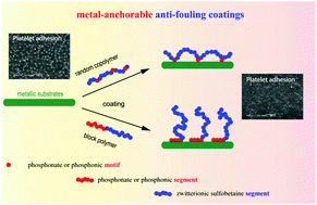Graphical abstract: Zwitterionic copolymers bearing phosphonate or phosphonic motifs as novel metal-anchorable anti-fouling coatings