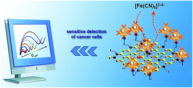 Graphical abstract: Efficient electrochemical detection of cancer cells on in situ surface-functionalized MoS2 nanosheets
