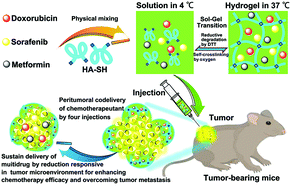 Graphical abstract: Localized multidrug co-delivery by injectable self-crosslinking hydrogel for synergistic combinational chemotherapy