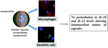Graphical abstract: Immuno-silent polymer capsules encapsulating nanoparticles for bioimaging applications