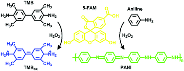 Graphical abstract: 5-Carboxyfluorescein: intrinsic peroxidase-like catalytic activity and its application in the biomimetic synthesis of polyaniline nanoplatelets