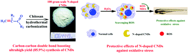 Graphical abstract: Ultrahigh-yield synthesis of N-doped carbon nanodots that down-regulate ROS in zebrafish