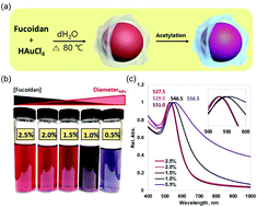 Graphical abstract: Facile size-controlled synthesis of fucoidan-coated gold nanoparticles and cooperative anticancer effect with doxorubicin