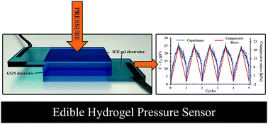 Graphical abstract: Conducting hydrogels for edible electrodes