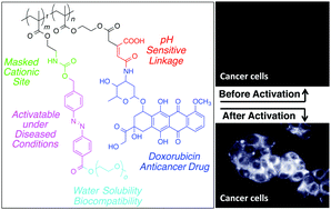 Graphical abstract: An activatable anticancer polymer–drug conjugate based on the self-immolative azobenzene motif