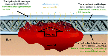 Graphical abstract: A novel silver-containing absorbent wound dressing based on spacer fabric