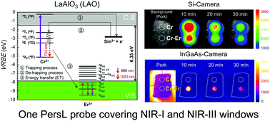 Graphical abstract: Cr3+/Er3+ co-doped LaAlO3 perovskite phosphor: a near-infrared persistent luminescence probe covering the first and third biological windows