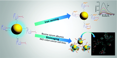Graphical abstract: Carbon quantum dots/block copolymer ensembles for metal-ion sensing and bioimaging