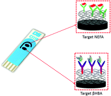 Graphical abstract: Graphene-based multiplexed disposable electrochemical biosensor for rapid on-farm monitoring of NEFA and βHBA dairy biomarkers