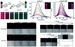 Graphical abstract: An anthraquinone-based highly selective colorimetric and fluorometric sensor for sequential detection of Cu2+ and S2− with intracellular application
