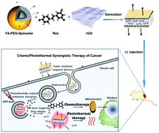 Graphical abstract: Facile fabrication of a resveratrol loaded phospholipid@reduced graphene oxide nanoassembly for targeted and near-infrared laser-triggered chemo/photothermal synergistic therapy of cancer in vivo
