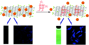 Graphical abstract: Graphene quantum dots supported by graphene oxide as a sensitive fluorescence nanosensor for cytochrome c detection and intracellular imaging