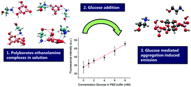 Graphical abstract: Optical glucose sensing using ethanolamine–polyborate complexes