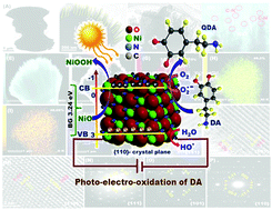Graphical abstract: Fabrication of photo-electrochemical biosensors for ultrasensitive screening of mono-bioactive molecules: the effect of geometrical structures and crystal surfaces