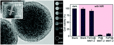 Graphical abstract: Hollow mesoporous silica nanosphere-supported FePt nanoparticles for potential theranostic applications