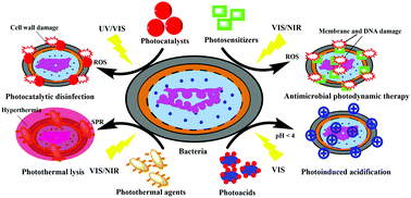 Graphical abstract: Photoactive antimicrobial nanomaterials