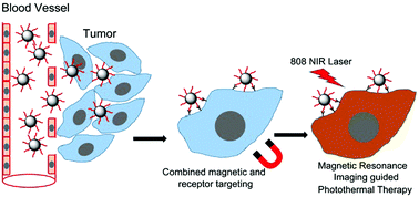Graphical abstract: Fabrication of multifunctional ferric oxide nanoparticles for tumor-targeted magnetic resonance imaging and precise photothermal therapy with magnetic field enhancement