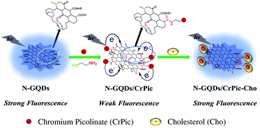 Graphical abstract: Fluorescence detection of cholesterol using a nitrogen-doped graphene quantum dot/chromium picolinate complex-based sensor