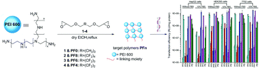 Graphical abstract: Cross-linked polymers with fluorinated bridges for efficient gene delivery