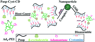 Graphical abstract: A bioreducible supramolecular nanoparticle gene delivery system based on cyclodextrin-conjugated polyaspartamide and adamantyl-terminated polyethylenimine