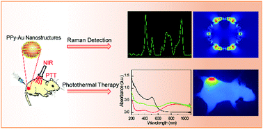 Graphical abstract: Leakage-free polypyrrole–Au nanostructures for combined Raman detection and photothermal cancer therapy