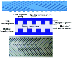 Graphical abstract: A microfluidic chip with double-sided herringbone microstructures for enhanced capture of rare tumor cells