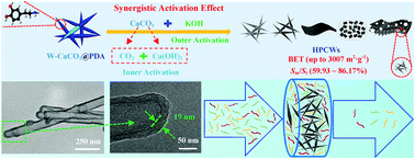 Graphical abstract: Facile synthesis of hierarchical N-doped hollow porous carbon whiskers with ultrahigh surface area via synergistic inner–outer activation for casein hydrolysate adsorption