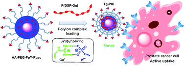 Graphical abstract: Targeted delivery of a guanidine-pendant Pt(iv)-backboned poly-prodrug by an anisamide-functionalized polypeptide