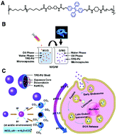 Graphical abstract: Smart multifunctional polyurethane microcapsules for the quick release of anticancer drugs in BGC 823 and HeLa tumor cells