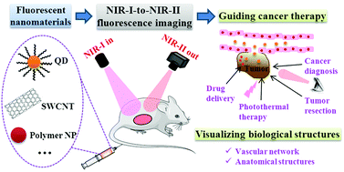 Graphical abstract: NIR-I-to-NIR-II fluorescent nanomaterials for biomedical imaging and cancer therapy