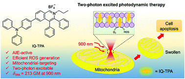 Graphical abstract: A simple mitochondrial targeting AIEgen for image-guided two-photon excited photodynamic therapy