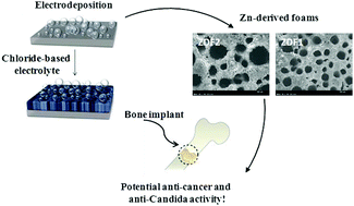 Graphical abstract: Potential anti-cancer and anti-Candida activity of Zn-derived foams